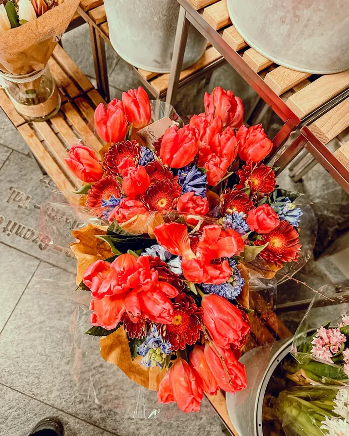Buquê de tulipas vermelhas